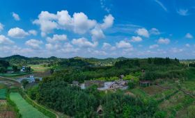 卓筒井-全景ZCM20210412000006