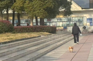 【文明旅游反面曝光】文明城市创建，拒绝 “添堵”！这些不文明行为请止步