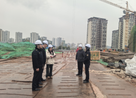 大英县行政审批和数据局积极推行 “开工一件事”践行效率革命提质增效