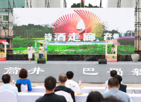 四川省第五届乡村文化振兴魅力竞演大赛东区交流展演活动在我县举办