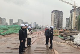 大英县行政审批和数据局积极推行 “开工一件事”践行效率革命提质增效