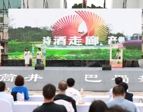 四川省第五届乡村文化振兴魅力竞演大赛东区交流展演活动在我县举办