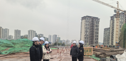 大英县行政审批和数据局积极推行 “开工一件事”践行效率革命提质增效