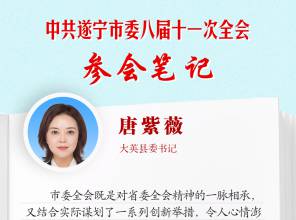 全会参会笔记｜大英县委书记唐紫薇：持续擦亮“天府旅游名县”金字招牌，当好全市引客入遂“桥头堡”