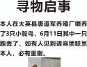 紧急寻找走失幼年鸵鸟