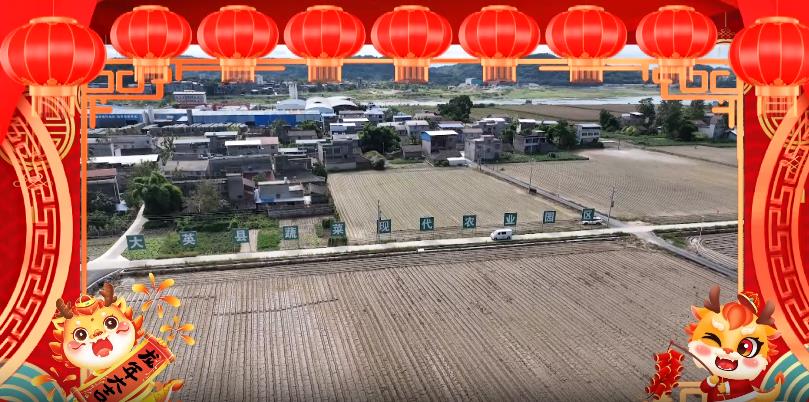 回马.jpg