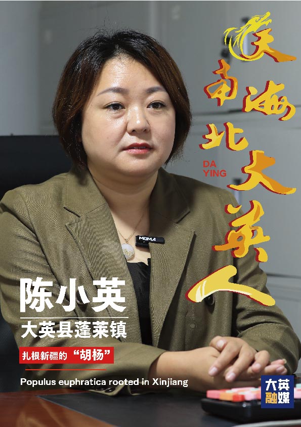 陈_画板 1.jpg
