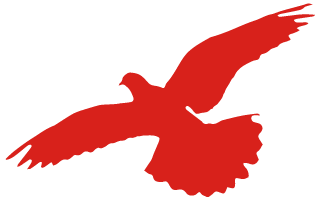 085618zcubn2pl282dtpgh.png