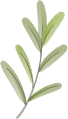 203730ya4ukcnz5vbp48nh.png