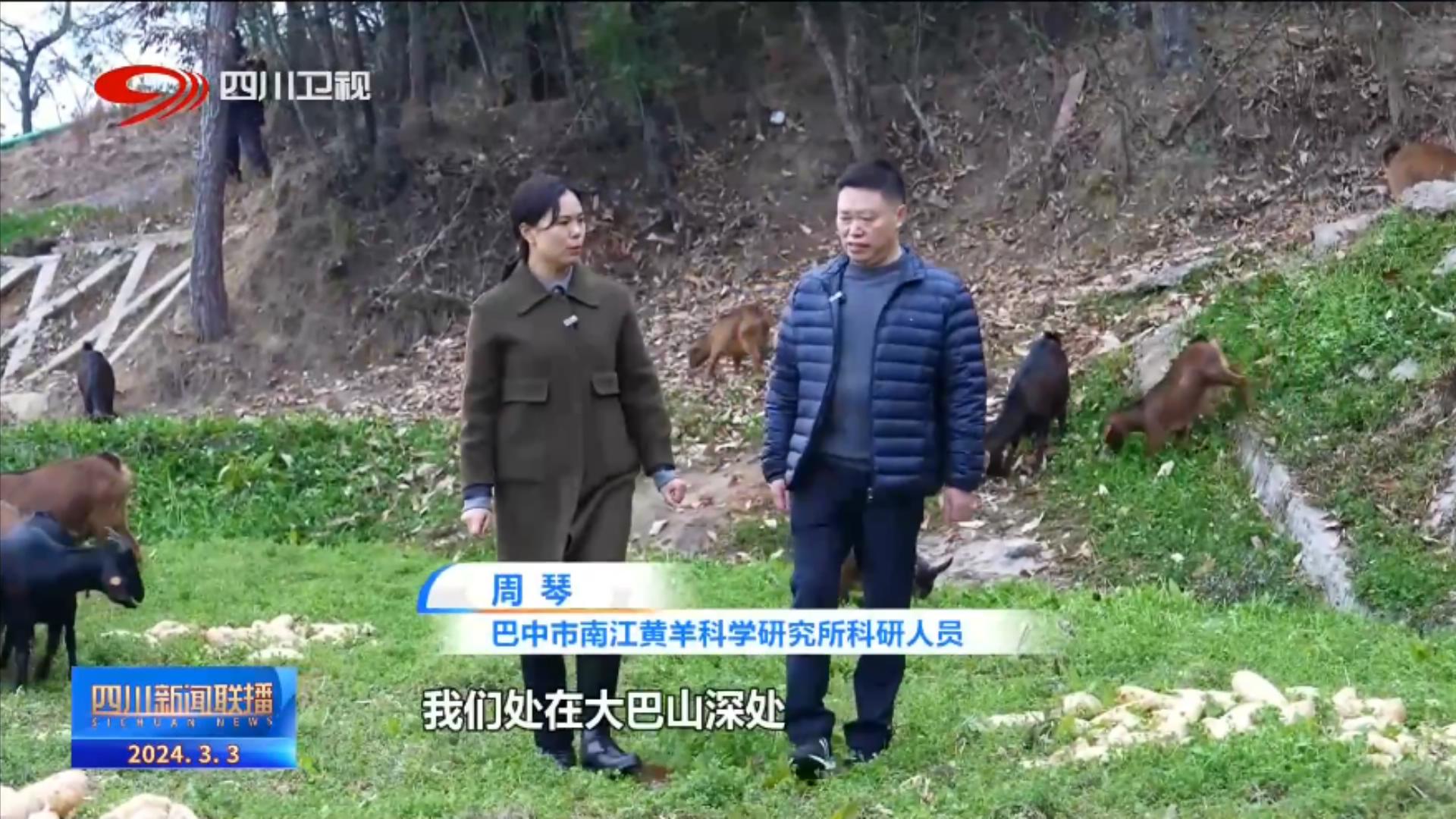 150208xxbbcy1deeyydjqq.jpeg