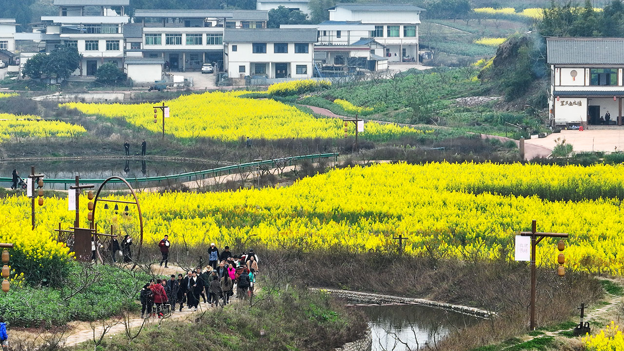 DJI_0144.jpg