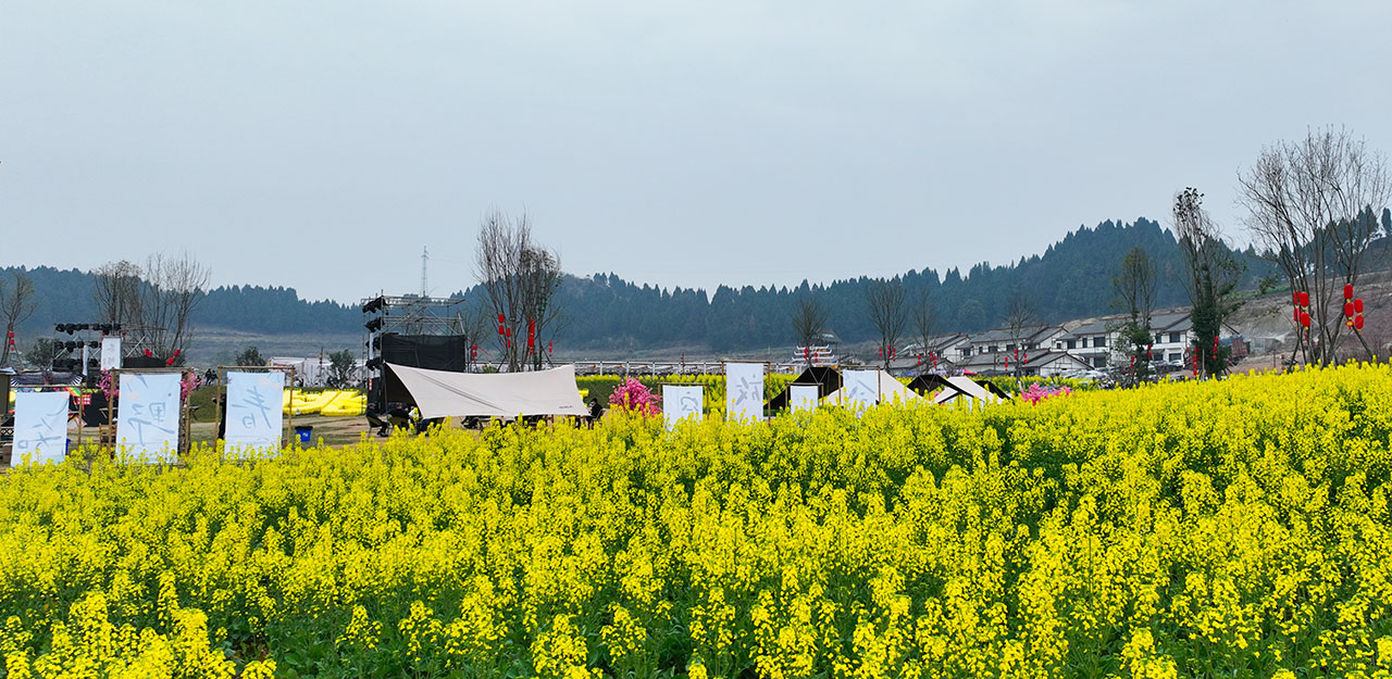 DJI_0162.jpg