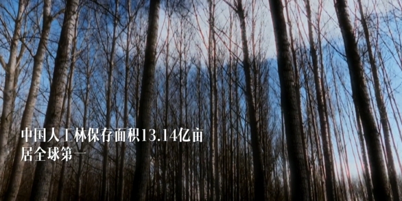 111514e9lhutoothogqg14.jpeg