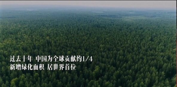 111514n0illia18q6ced1m.jpeg
