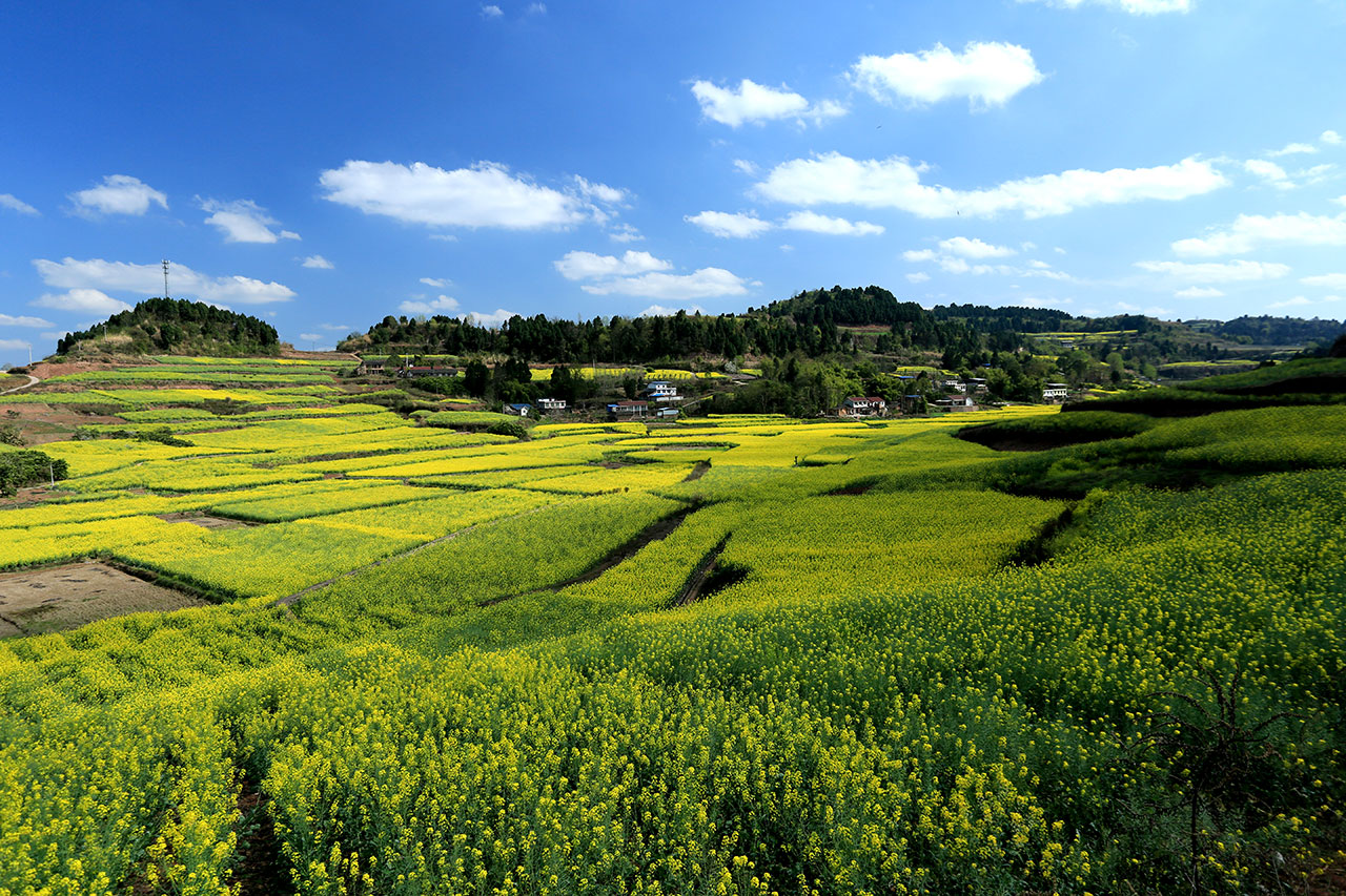 2U9A6402-(2).jpg