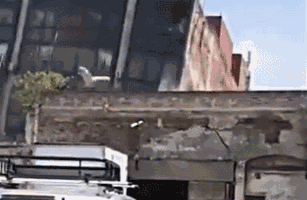 095213lzfhwcpivpntta2c.gif