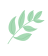114327uhuywhn5nvl5dwoy.png