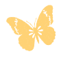152917ya7w07ww05wiitic.gif