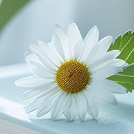 152919msg3se9i898vdi40.png