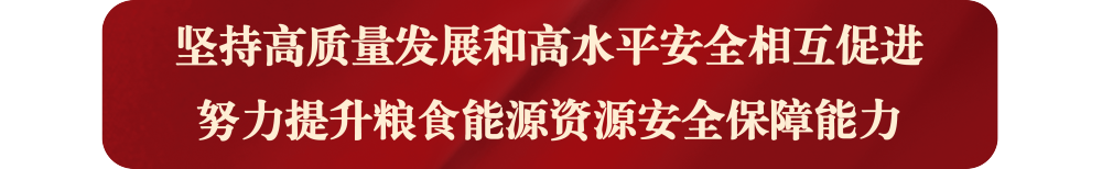 195305c4az2e99ona3aa33.png