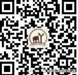 202801c2i2qs22205hqw5a.jpeg