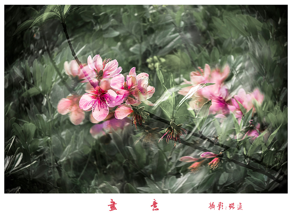 微信图片_20240324072333.jpg