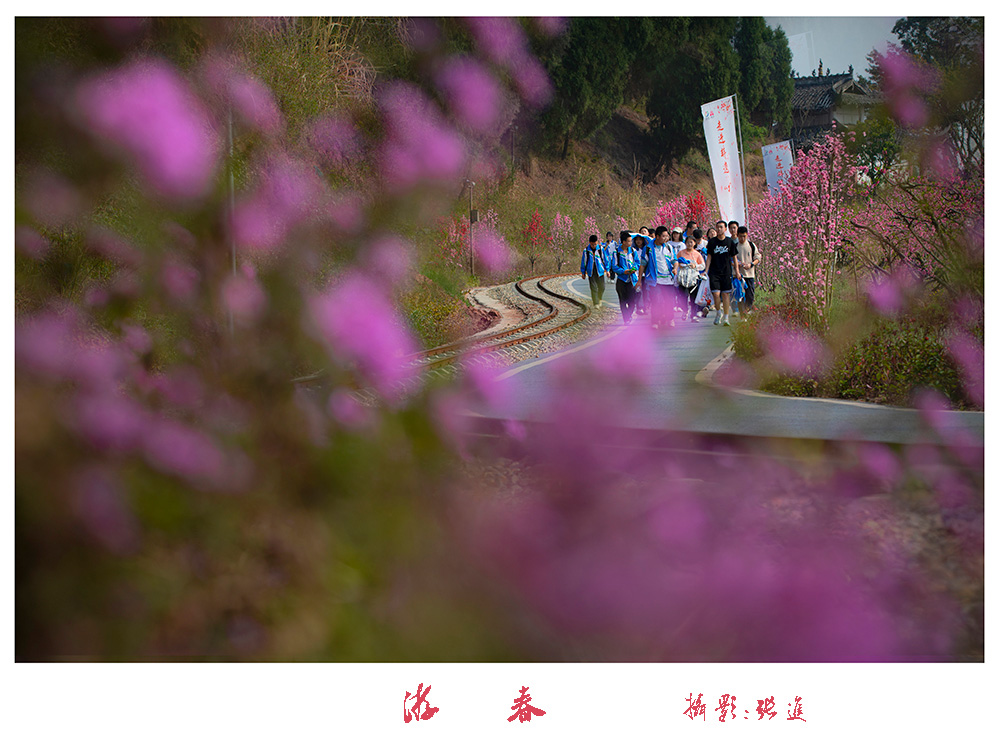 张进-微信图片_20240324072359.jpg