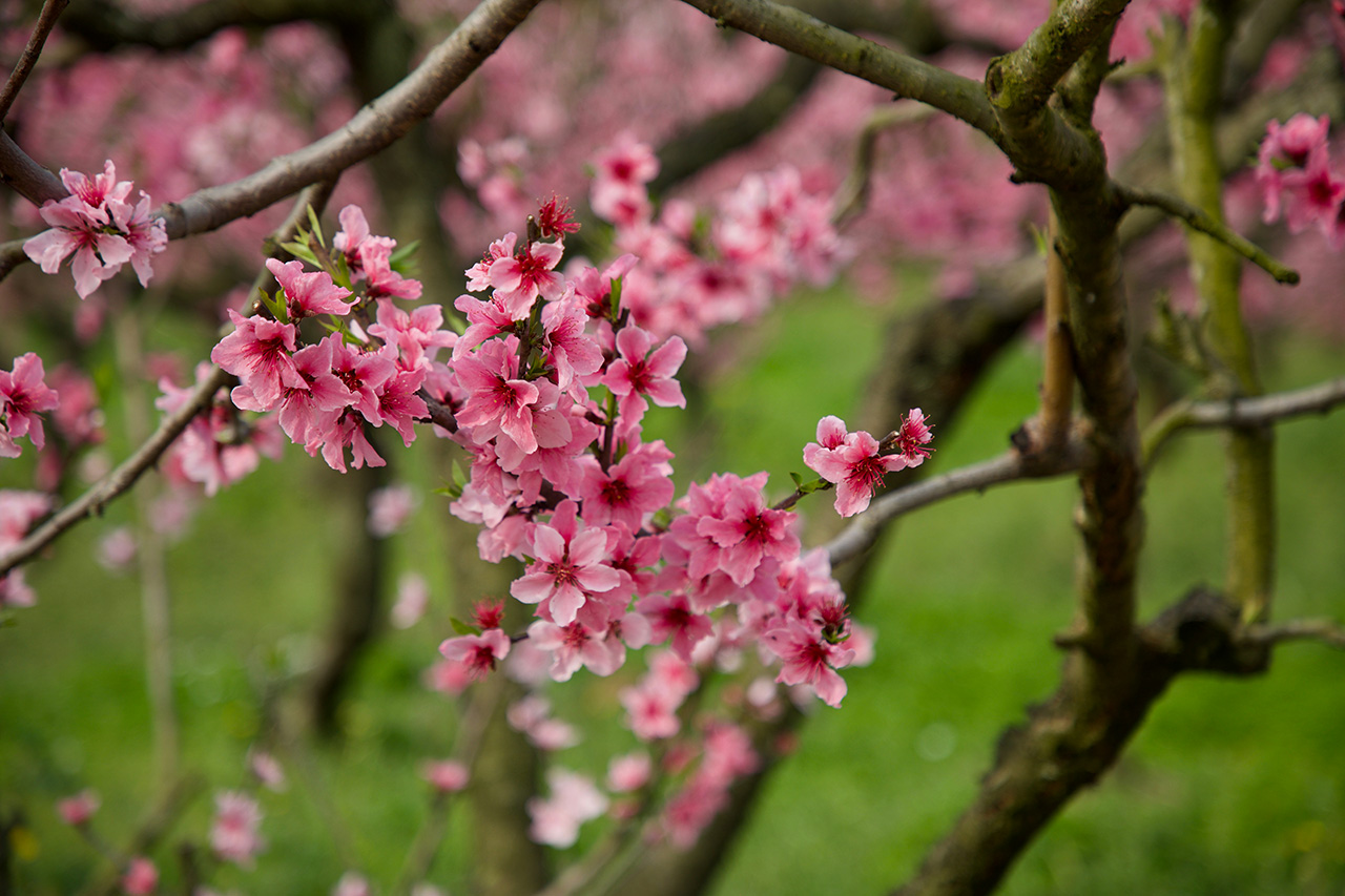 陈秀芳-微信图片_20240324072833.jpg