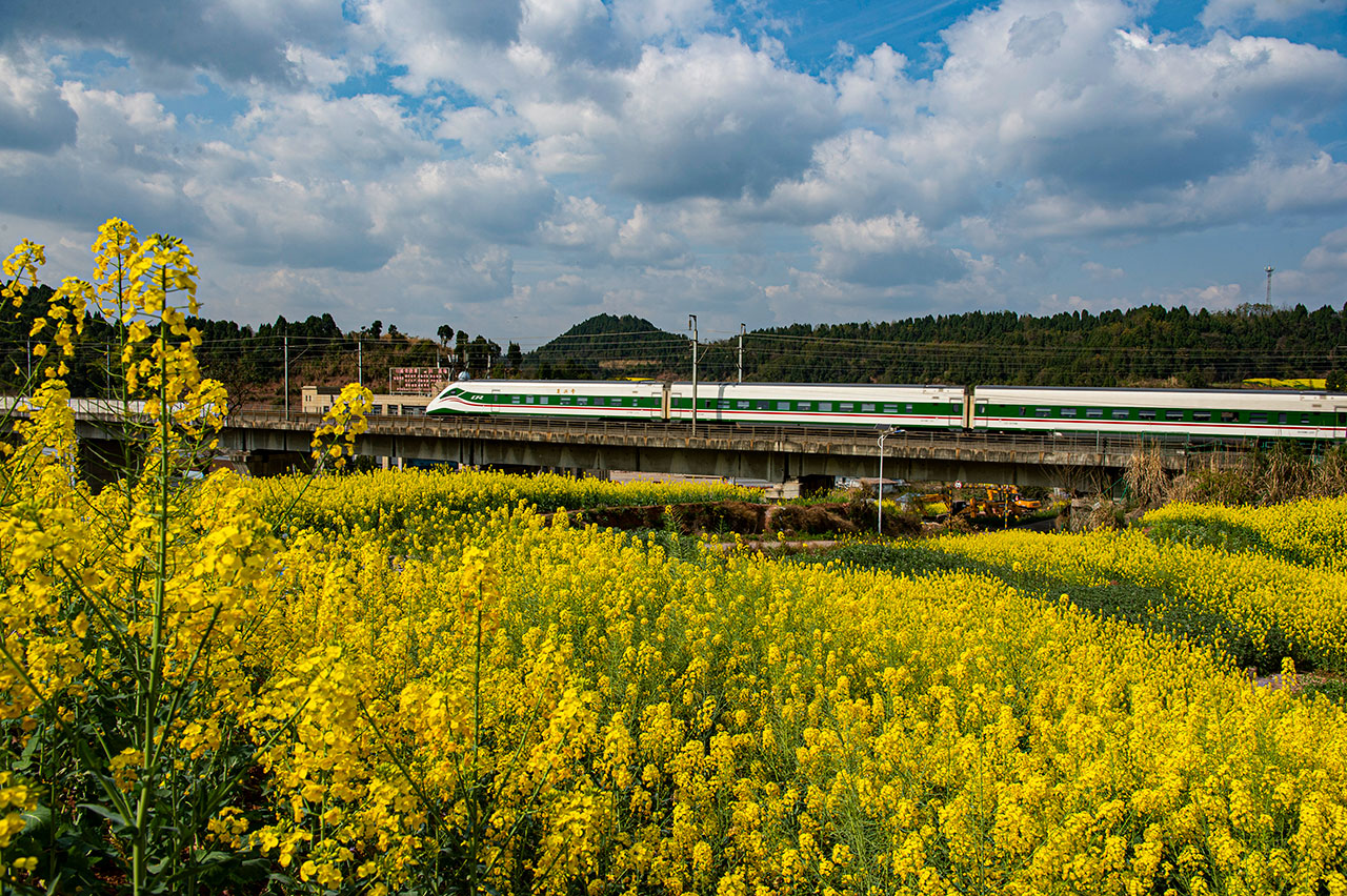 webDSC_4840-1.jpg