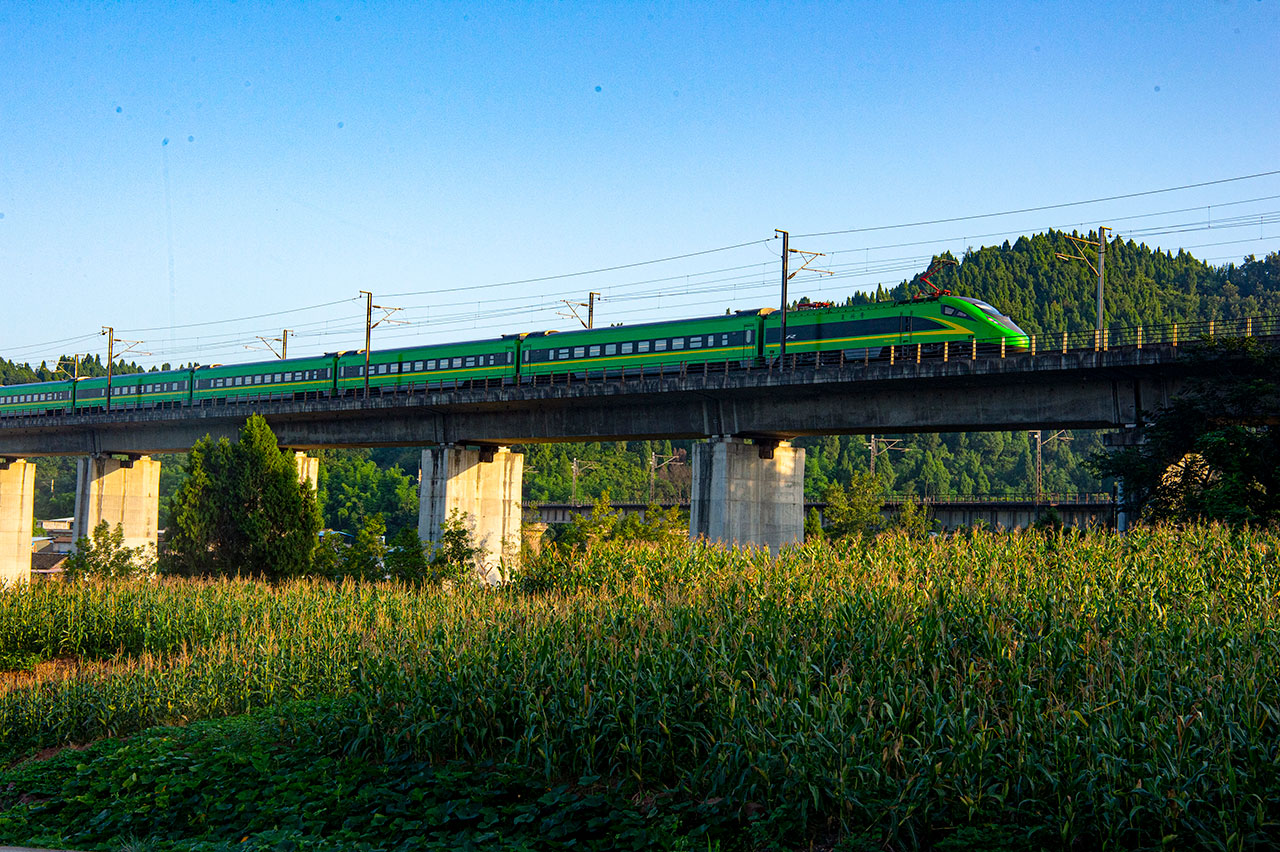 webDSC_5736_1.jpg