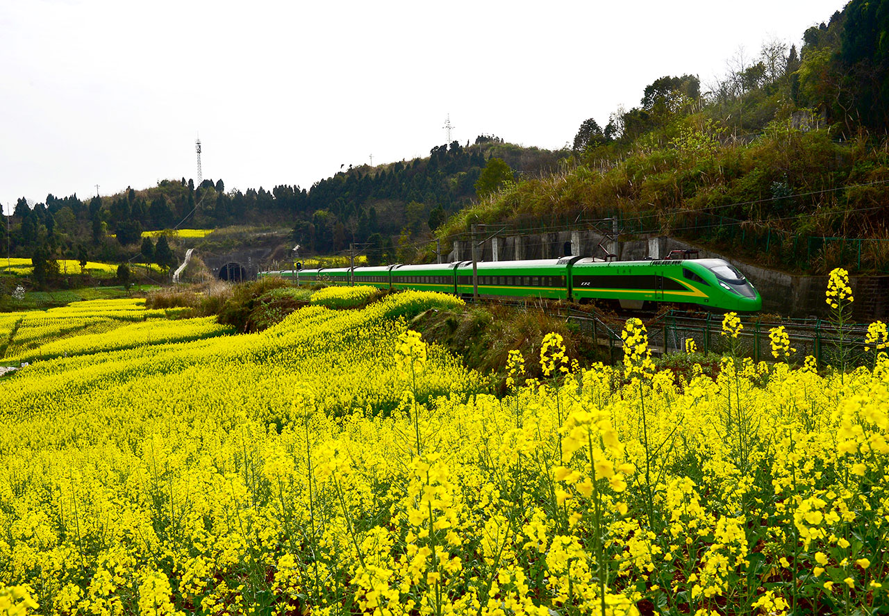 webDSC_2706-1---副本.jpg