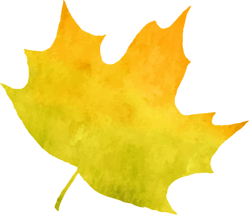 171110m3dhhzu862dvz5m5.png