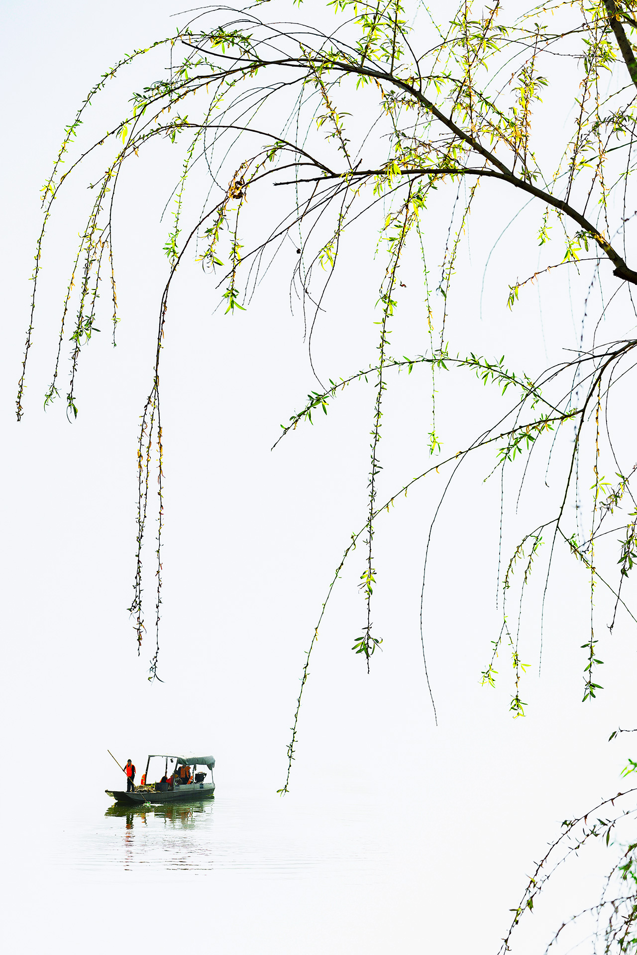 web春和景明.jpg