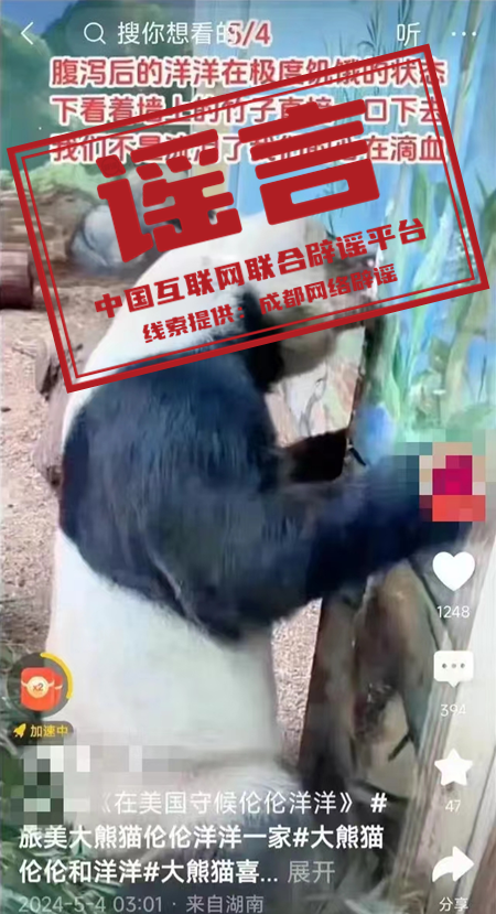 171123rvdsurqgs6ievsvg.png