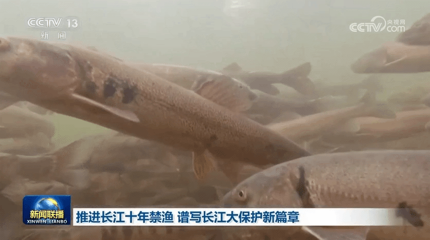 094917baewa6kgduje844w.gif