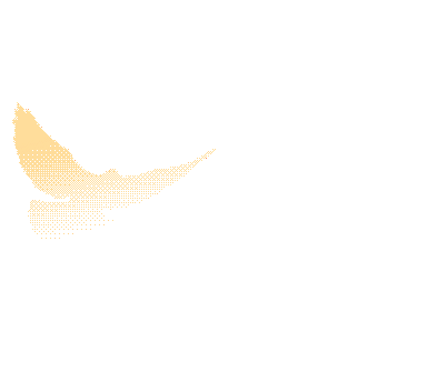 155442qznrtjrbpn409r0u.gif