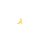 174646nm1zina2momn22ne.gif