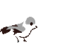 144413bzhdimashzgw623u.gif