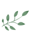 144413pzq9vvigazj1sfaj.gif