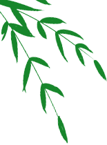 173209coopf2w8hwkoe88e.png