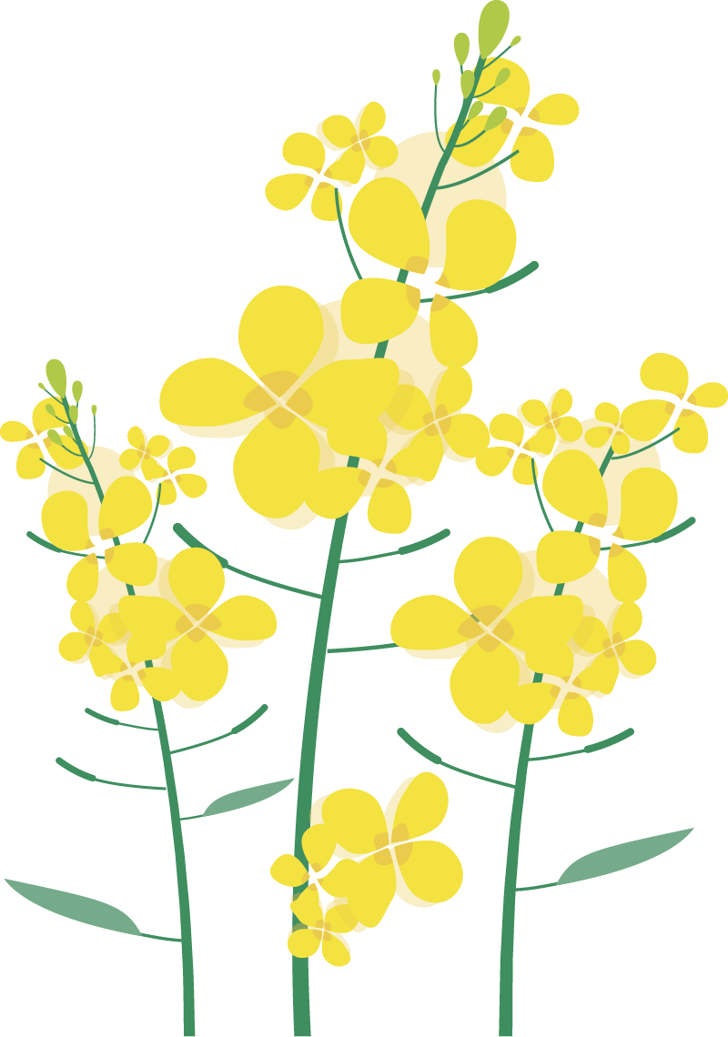 122013dp6zzhcb8scq1c61.png