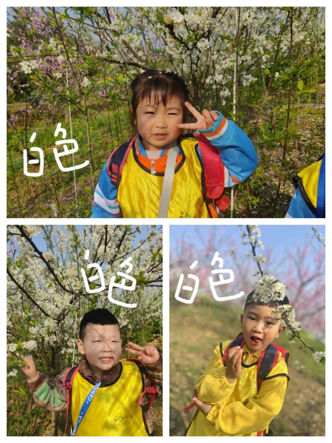 122015qsa0i683a8atjvjt.jpeg