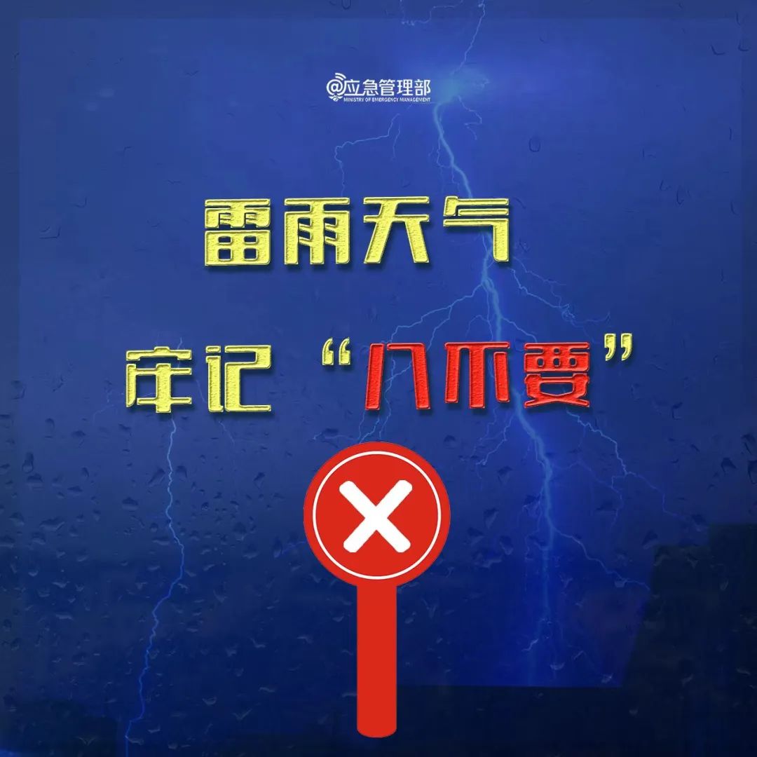105015rfu7l1x11r0xqzzc.jpeg
