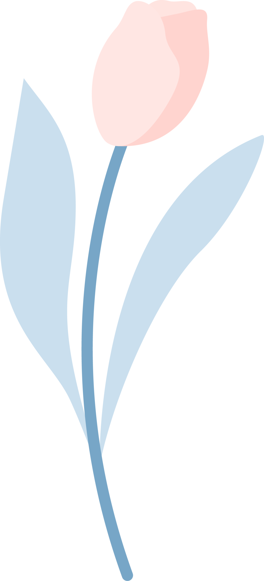 095851rf6eflrlcpgx4cxp.png