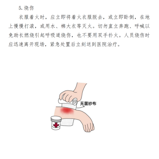 182535b2t1zttt3331aa12.png