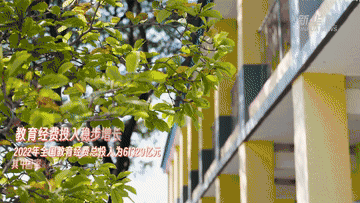 171123cn8hnetl33l5z5vt.gif