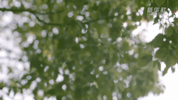 171123iqnpzx2jw9w94jxp.gif