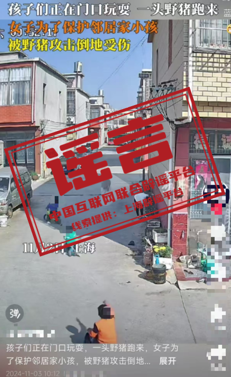 194854doegdz3db5h4zg4b.png