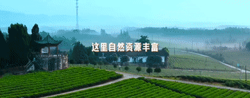 094800qs9ct757lcz5b4sm.gif