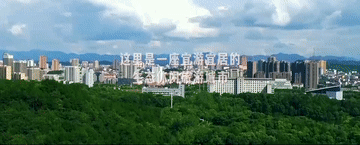 094801oy8n9sd18y9r18ad.gif